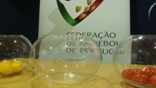 Imagem de Campeonato nacional de andebol começa com FC Porto-Madeira SAD