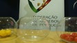 Imagem de Campeonato nacional de andebol começa com FC Porto-Madeira SAD