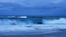 Imagem de Região Açores empenhada na proteção dos oceanos (Vídeo)