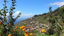 Imagem de Quinta Grande atingiu 33,1º esta segunda-feira