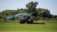Imagem de Eurodeputados aprovam reforma da Política Agrícola Comum