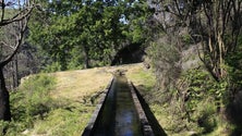 Imagem de Homem encontrado morto em levada na Ponta do Sol