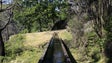 Imagem de Homem encontrado morto em levada na Ponta do Sol