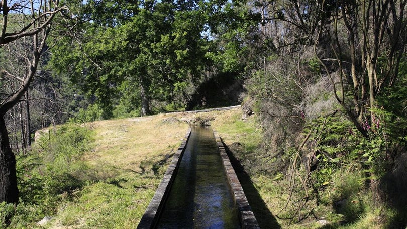 Imagem de Homem encontrado morto em levada na Ponta do Sol