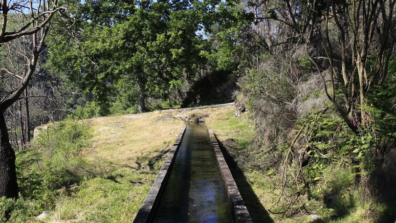 Homem encontrado morto em levada na Ponta do Sol