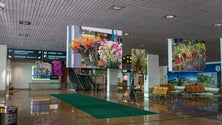 Imagem de Aeroporto da Madeira acolhe exposição fotográfica “true colours of nature”