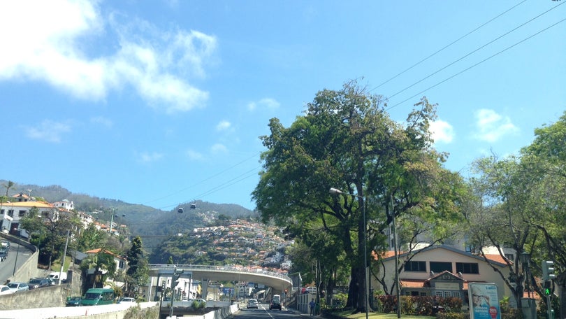 Parte do Parque Ecológico do Funchal vai ser concessionada a privados