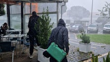 Imagem de Vento causa estragos na Terceira (Vídeo)