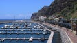 Imagem de Recuperação da Marina da Calheta começa na próxima semana