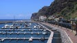 Recuperação da Marina da Calheta começa na próxima semana