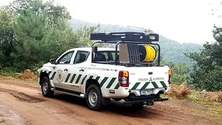 Imagem de Polícia Florestal apreendeu quatro pinheiros e dois azevinhos no Santo da Serra (áudio)