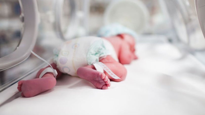 Imagem de Mortalidade neonatal diminui em Portugal
