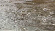 Imagem de Chuva forte até à meia noite (Vídeo)