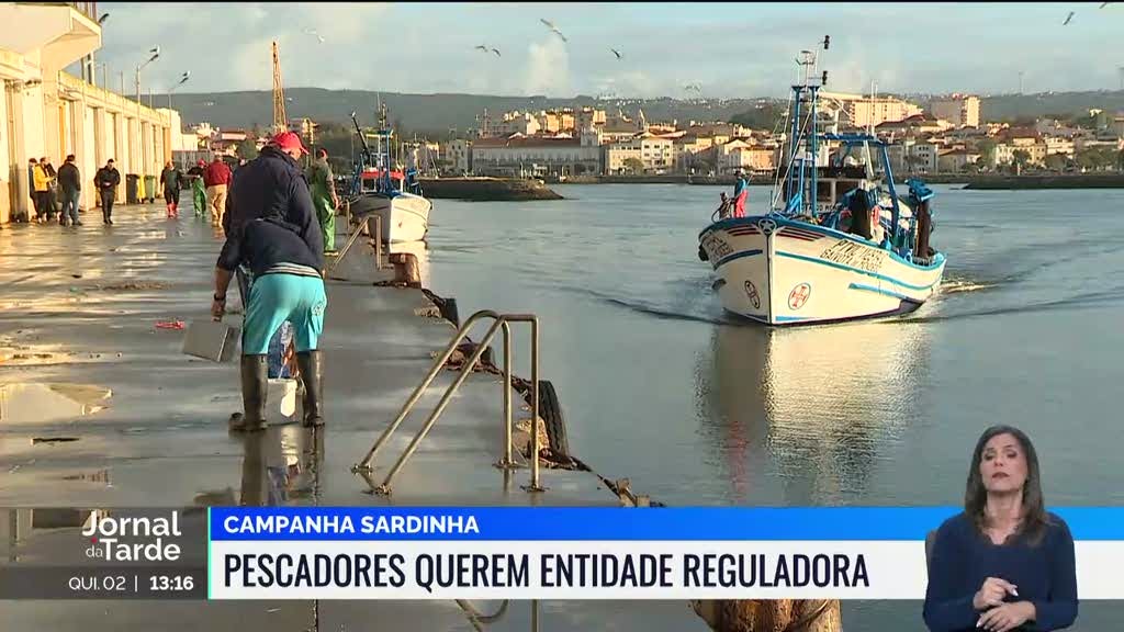 Pescadores da Figueira da Foz desvalorizam a redução da pesca da sardinha