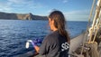 Imagem de Foram identificadas 357 espécies nas ilhas Selvagens (vídeo)