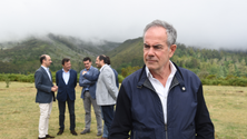 Imagem de PSD elogia política ambiental do Governo Regional