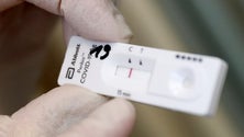 Imagem de Procura pelos testes cai 80% (áudio)
