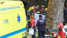 Imagem de Instrução do processo da árvore do Monte arranca em outubro