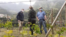 Imagem de Vinho Madeira com grande evolução (vídeo)