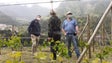 Imagem de Vinho Madeira com grande evolução (vídeo)