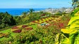 Imagem de Jardim Botânico registou mais 100 mil entradas em relação a 2017