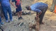 Imagem de Festa da Alegria em São Roque recria as tradições (vídeo)