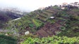 Imagem de Seguro de colheitas não cobre vinhas, queda de granizo e maresia (Vídeo)