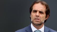 Imagem de Governo da Madeira critica negligência do executivo quanto a ligações da Binter