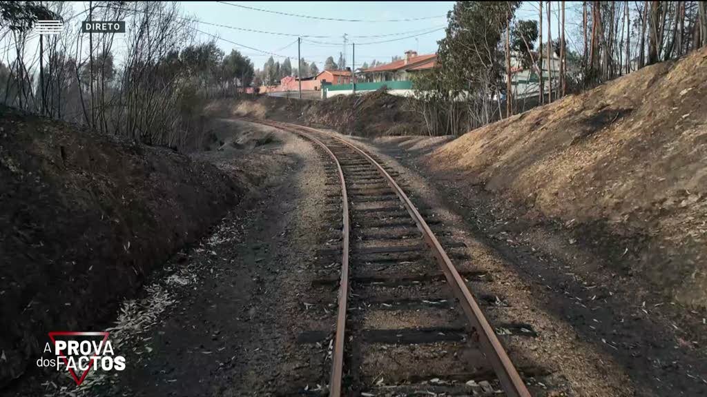 A Prova dos Factos. Maioria das verbas de fundos europeus para a floresta não chegou ao terreno