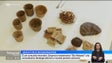Imagem de Projeto inovador desenvolvido na Madeira recebeu um prémio (vídeo)