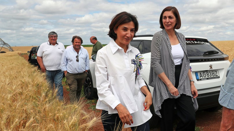 Imagem de Portugal tem reservas de cereais «para cerca de um mês»