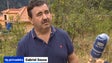 Falta de chuva prejudica a produção de castanhas na Madeira, dizem agricultores (Vídeo)
