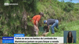 Imagem de Heréus da Lombada dos Marinheiros cumprem tradição na Calheta (Vídeo)