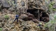 Imagem de Trabalhos de limpeza na Estrada dos Anjos vão decorrer até 24 de março (vídeo)