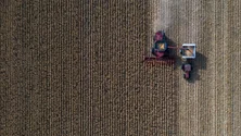 Imagem de Portugal com pior campanha de sempre nos cereais em 2022 devido à seca e calor