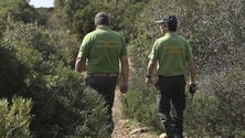 Imagem de Sindicato reivindica direitos para Vigilantes da Natureza (Vídeo)