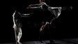 Imagem de Dia Mundial da Dança é celebrado em palcos de todo o país