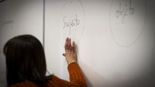 Imagem de Governo quer alargar flexibilidade curricular a todas as escolas