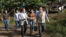 Imagem de PS pede estratégia para a agricultura (vídeo)