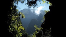 Imagem de Parque Natural da Madeira reforça investimento nas áreas protegidas para conquistar mais turistas