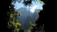 Parque Natural da Madeira reforça investimento nas áreas protegidas para conquistar mais turistas