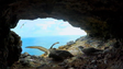 Imagem de Selvagens, a maior área marinha protegida da Europa (vídeo)