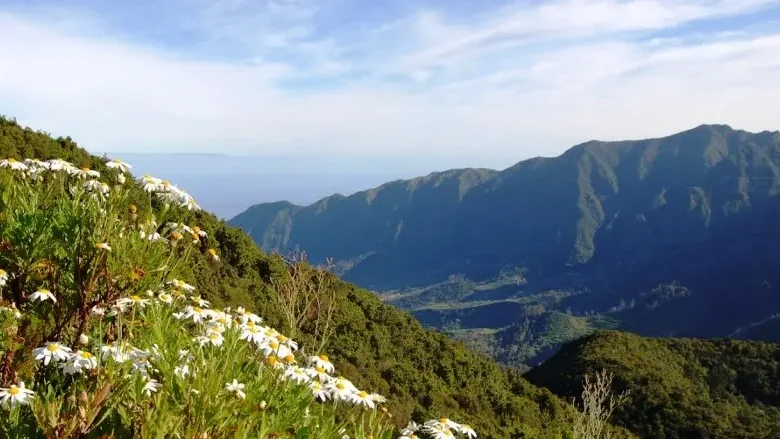 Imagem de Madeira vai registar pequena descida de temperatura