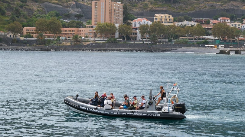 Imagem de Ecos Machico promove Passeios com Memórias