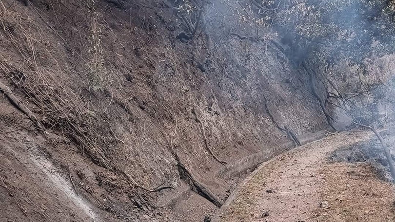 Imagem de Há neste momento vários reacendimentos perto de casas no Porto Moniz