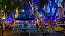 Imagem de Noite do Mercado em Machico