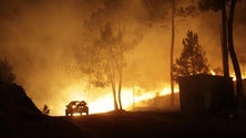 Imagem de Das 44 vítimas mortais, cinco estão por identificar