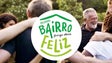 Imagem de Programa Bairro Feliz chega à Madeira
