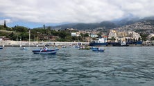 Imagem de Funchal recebeu 16.ª da Regata de Canoas Tradicionais da Madeira