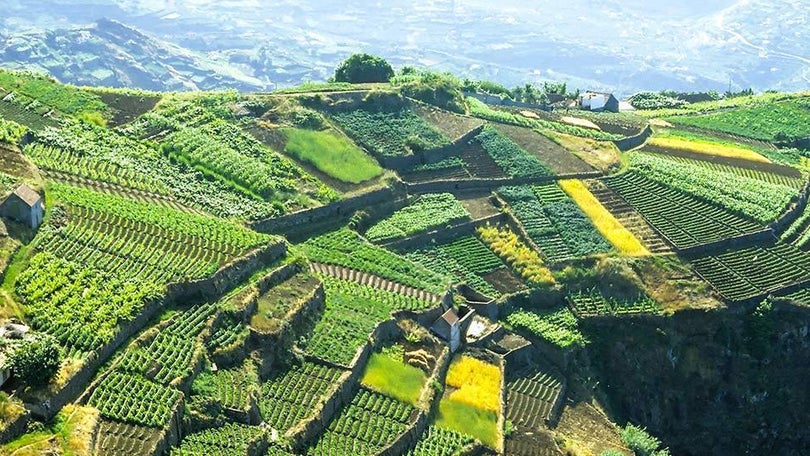 Imagem de Instituto Nacional de Estatísticas recruta técnicos superiores para a Madeira